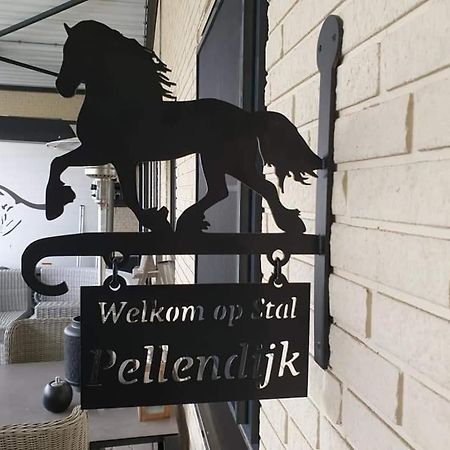 Luxe Gastenkamer Met Living En Keuken Bij Friezen Paarden Stal Pellendijk Westendorp Exterior foto